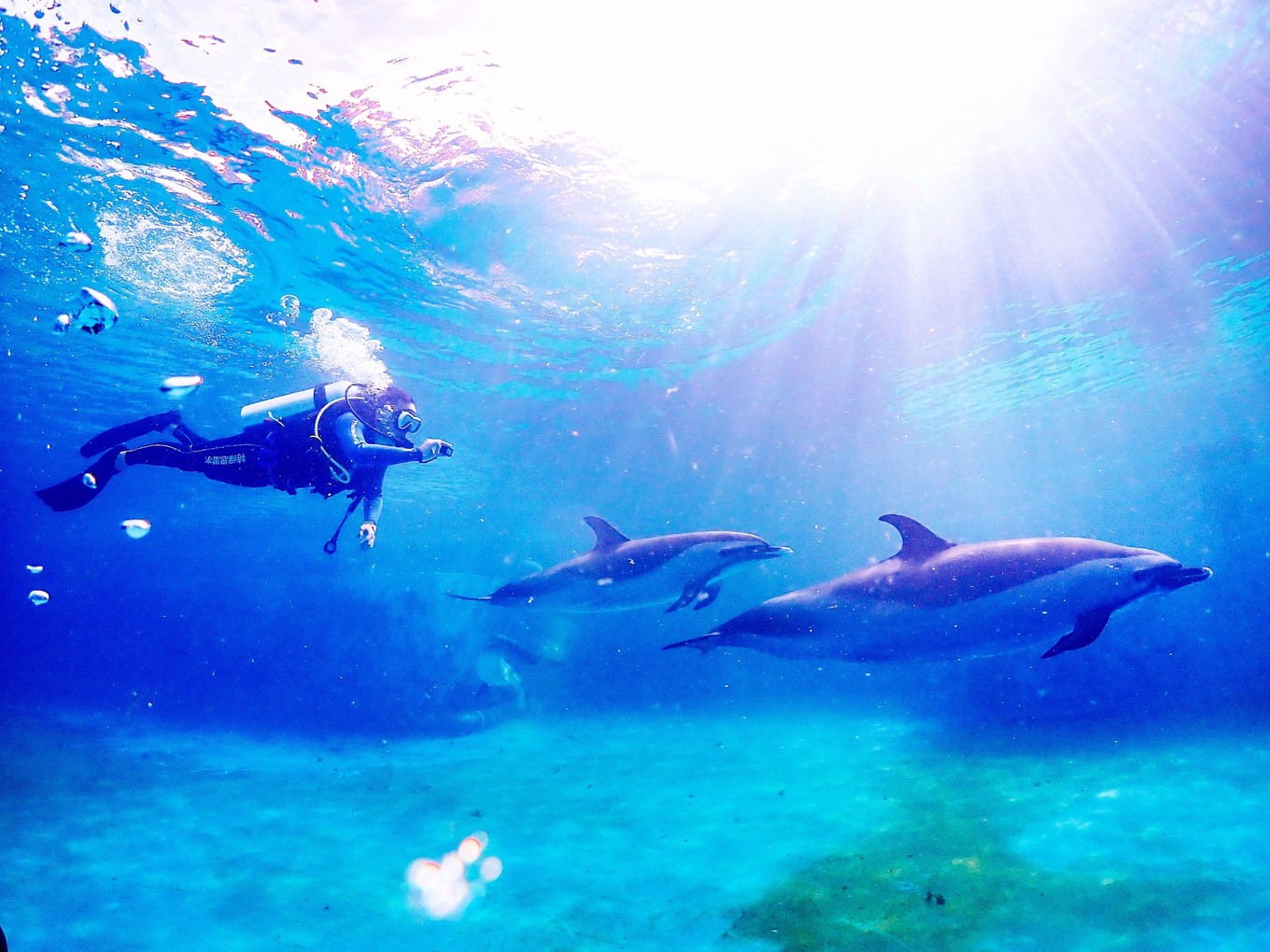 三亚学潜水机构推荐,三亚学潜水哪个最专业