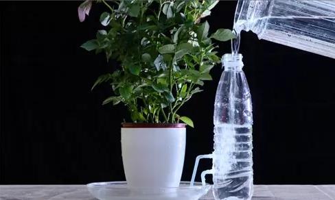 长期出门怎么制作自动浇水器,如何制作自动浇水器立在地上的