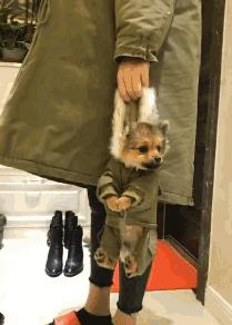 木乃伊搞笑图片4k,搞笑木乃伊制作过程