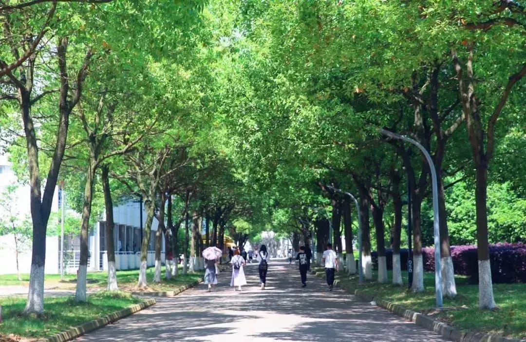 苏州大学文正学院专转本2020,苏州大学文正学院专转本人力资源