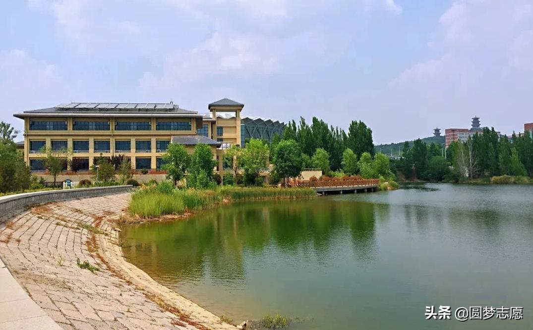 山财就业率在全国排名,山财和山大哪个就业好