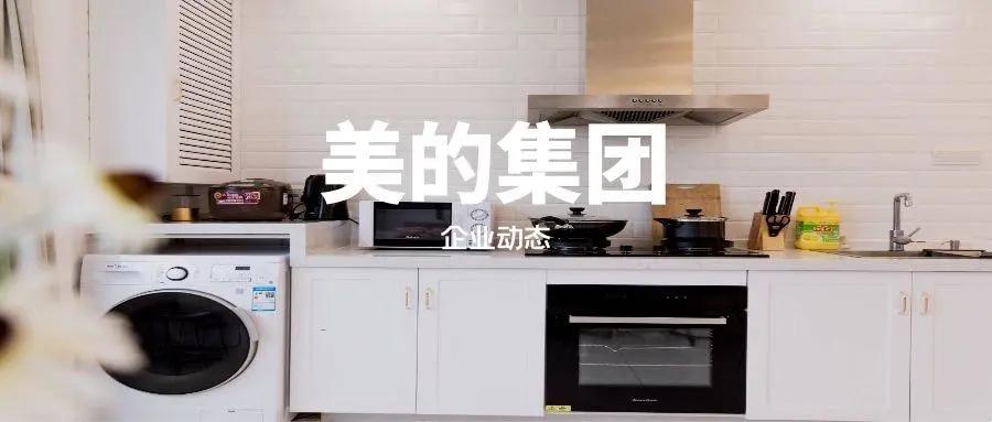 美的公司的现代治理,美的集团公司治理问题