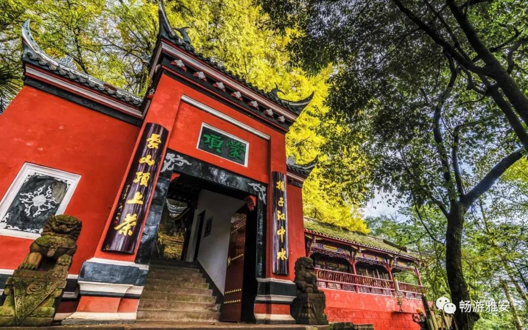 雅安4天旅游攻略最新版,五一去雅安的攻略