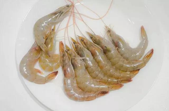 山东哪些地区的虾比较有名气,山东盛产什么虾