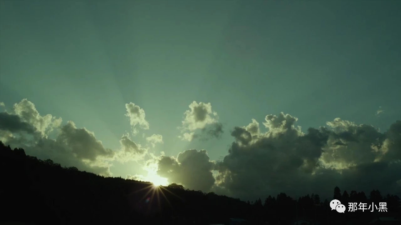 治愈系小森林图片,小森林日式小清新