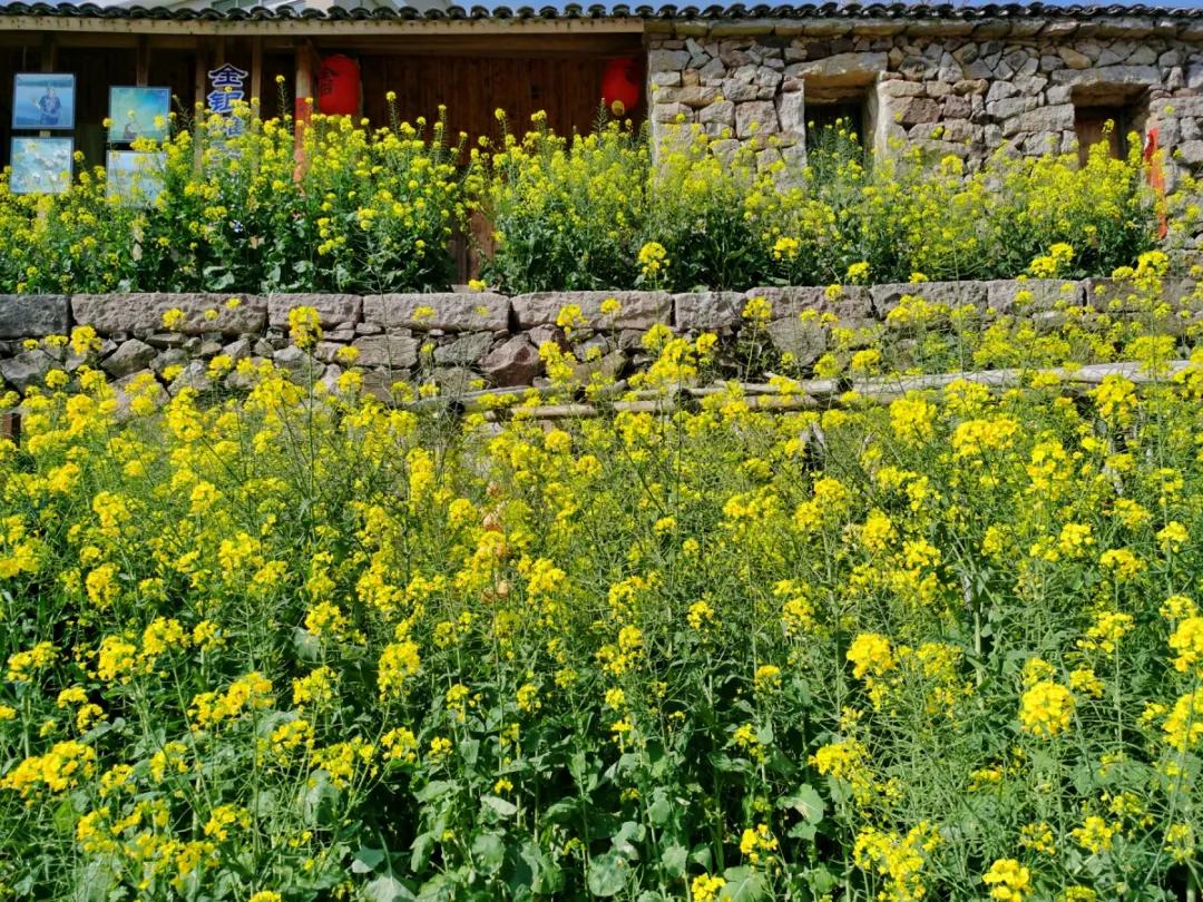 台州藏在深山里的世外桃源,台州家乡春天的美景