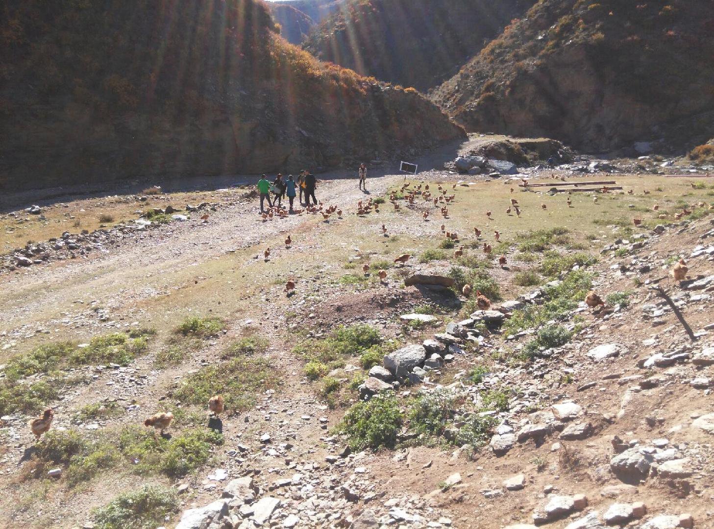 内蒙呼和浩特市内游,五一内蒙古呼和浩特及周边游