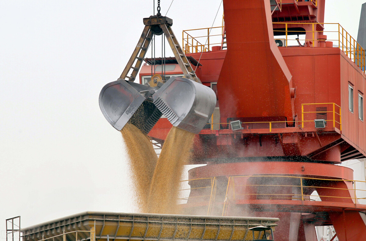 近几年大豆价格走势分析,最近大豆价格走势如何