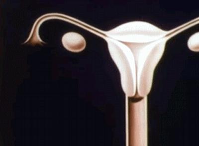 4部孩子必看的性教育短片,五分钟儿童性教育短片