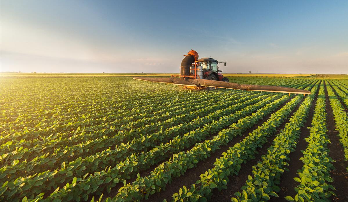 养驴发家致富能人,矿山老板致富项目