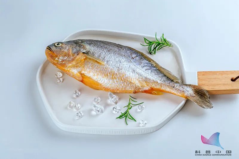 预防脑卒中从科学饮食开始,脑卒中鱼类摄入量