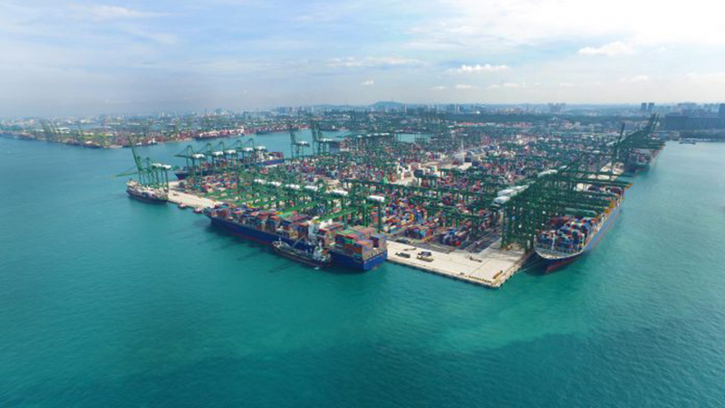 疫情冲击东亚东南亚集装箱运价 (新冠肺炎集装箱)