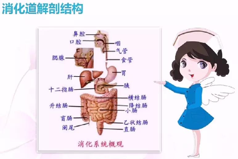 儿童便秘的原因和治疗方法,医生小孩便秘怎么调理