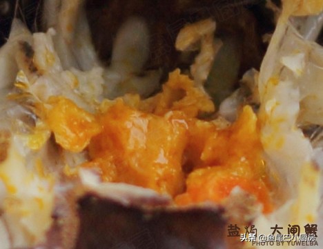 大闸蟹什么季节的肉比较肥,怎么挑大闸蟹又肥又鲜南方