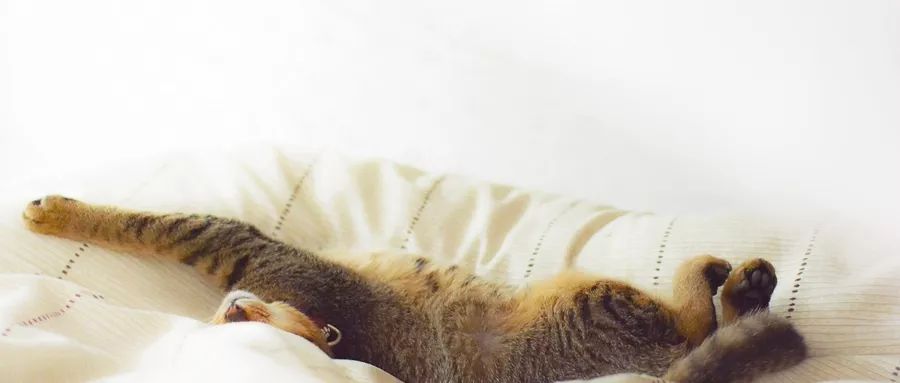 下午困了怎么提神学生,下午困得不行怎么提神