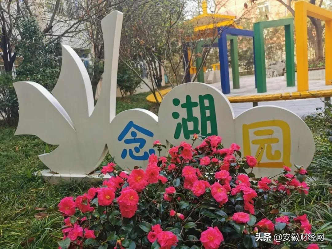 花都开好了现场完整版,花都开好了合唱合拍