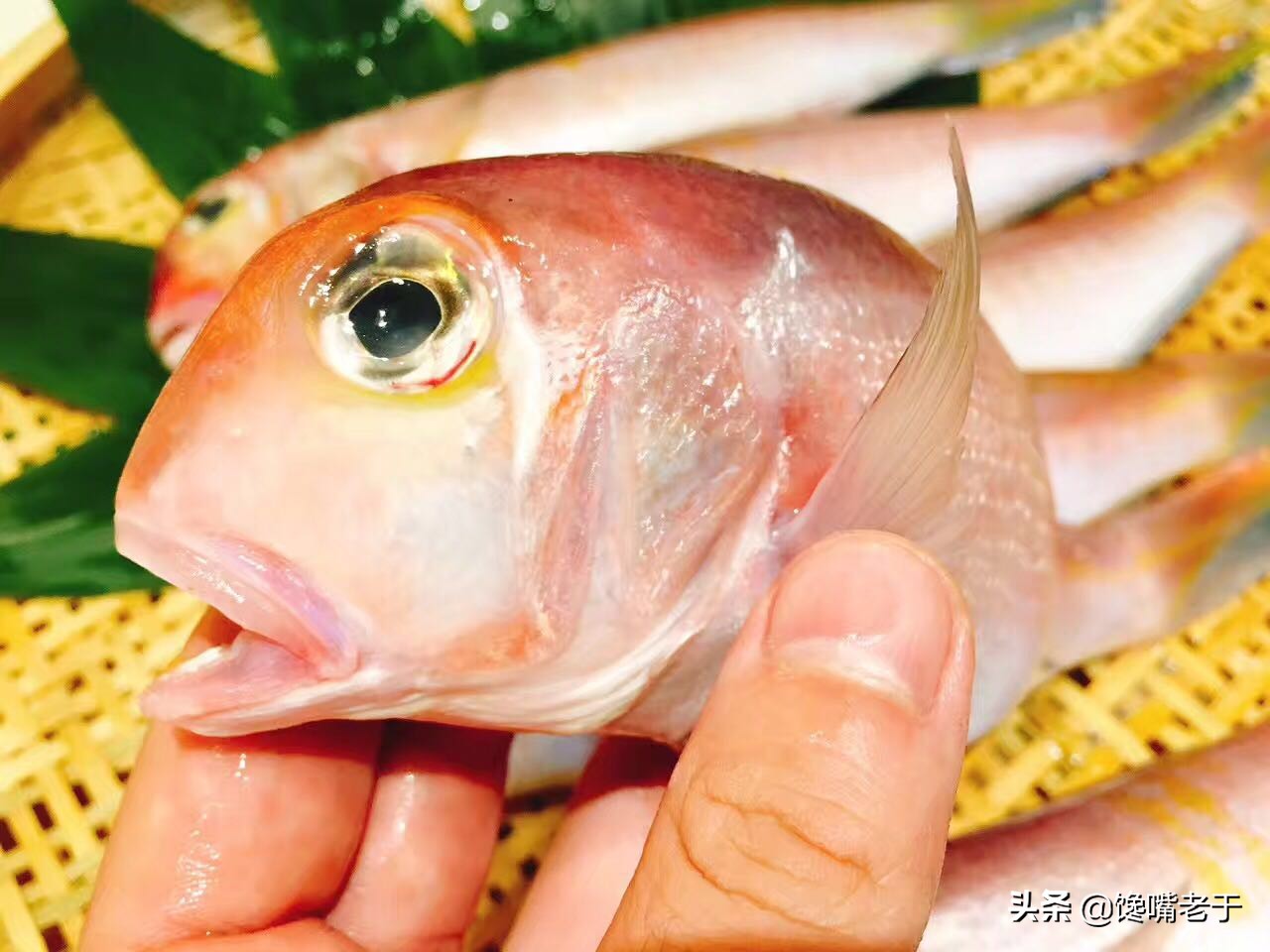 买海鲜必知道的事情,买海鲜需要掌握哪些知识