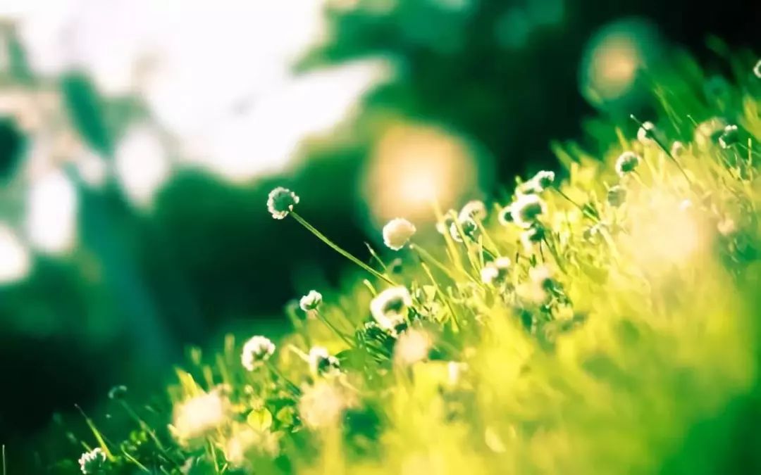 心痛到极致伤感的句子简短,心痛到极致伤感有内涵的句子