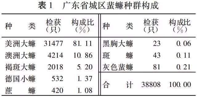 广东的蟑螂到底有多大,广东的蟑螂到底有多可怕