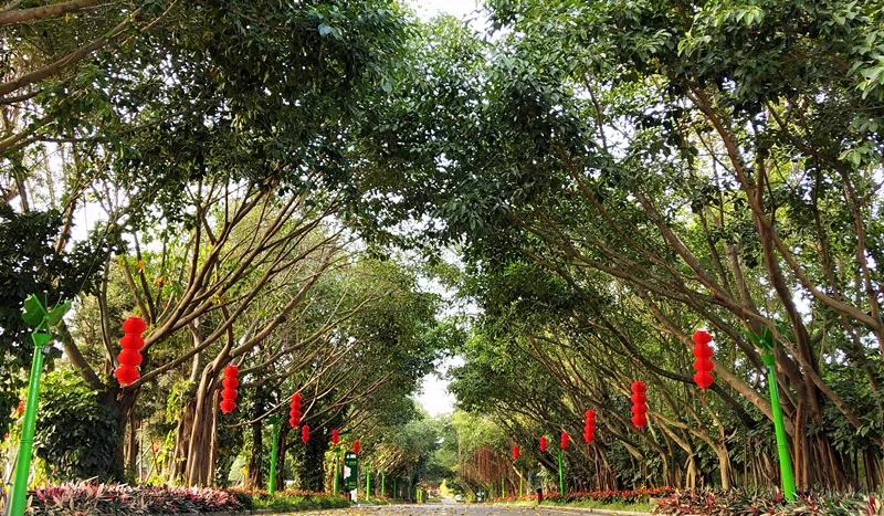 东南花都花博园景观,东南花都花博园
