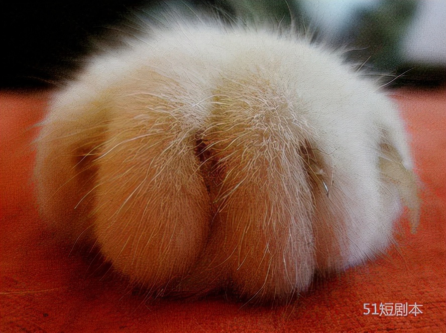 女朋友不讲道理生气怎么解决,女朋友生气不回消息怎么讲道理