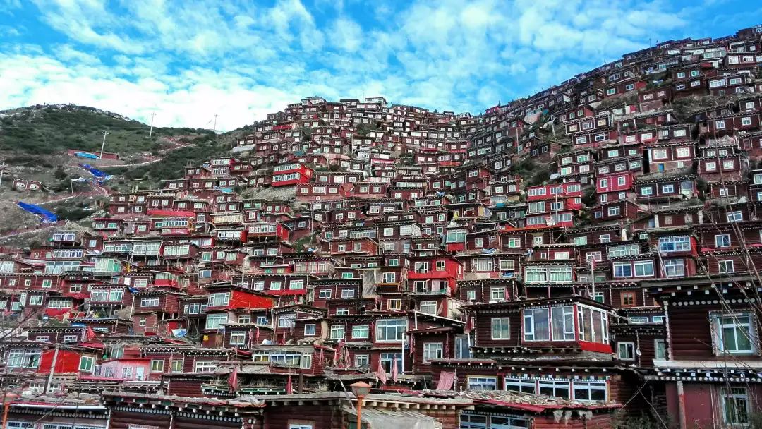 老爸,我想和你一起再做600件事!