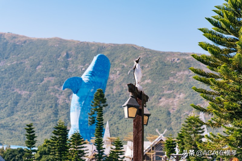 吃喝玩乐in珠海,珠海吃喝玩乐一体的地方