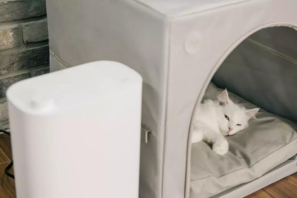 宠物烘干机便捷,宠物烘干机可以烘衣服吗