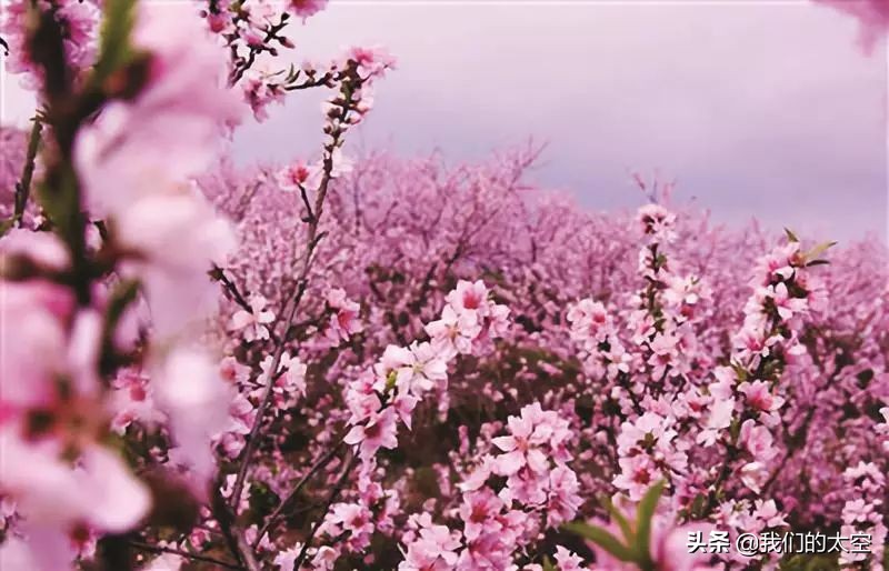 太空征文选登⑤|一路追梦，愿携手同行