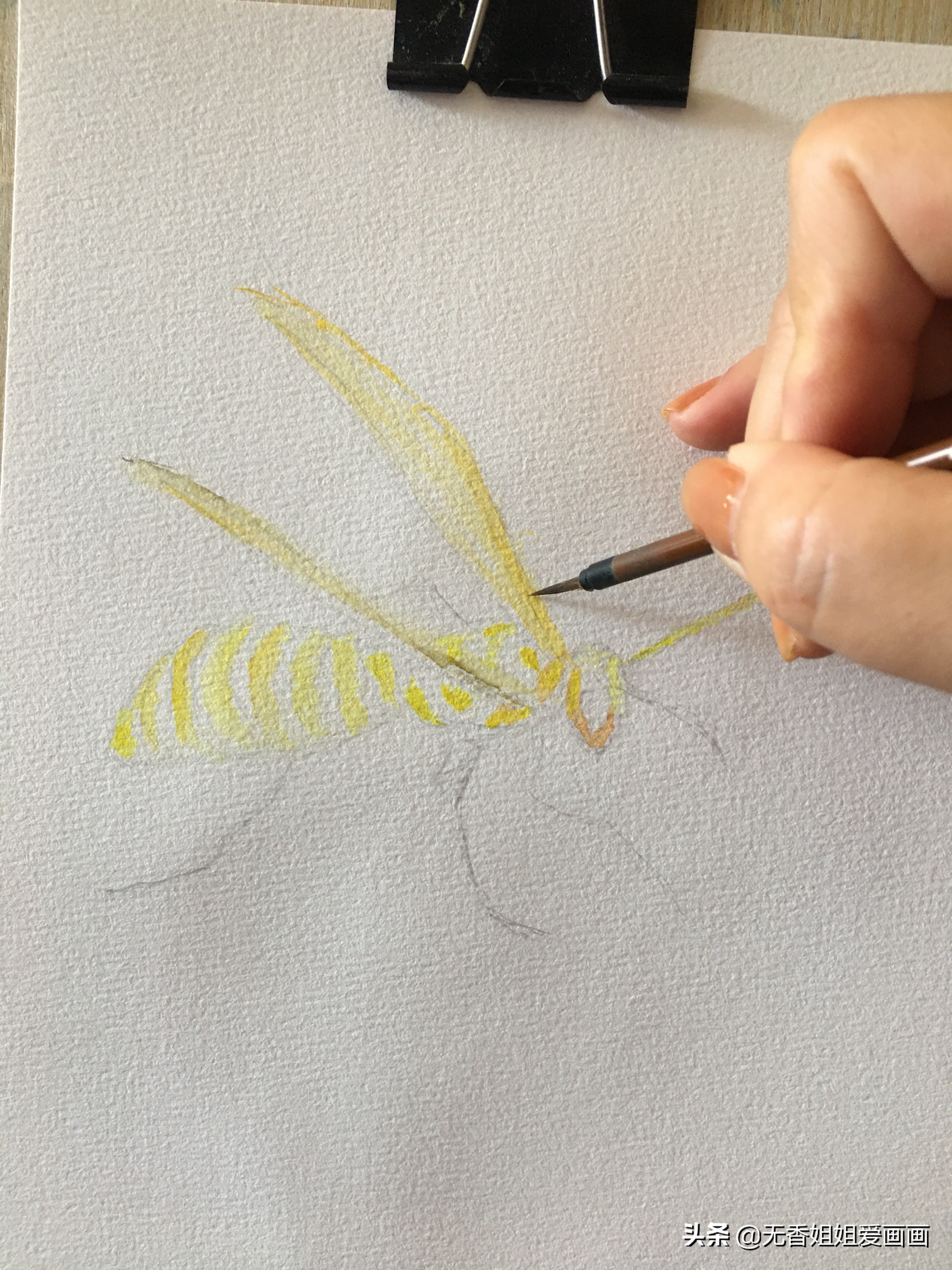 手绘一只非常有立体感的小黄蜂，步骤简单，一看就会