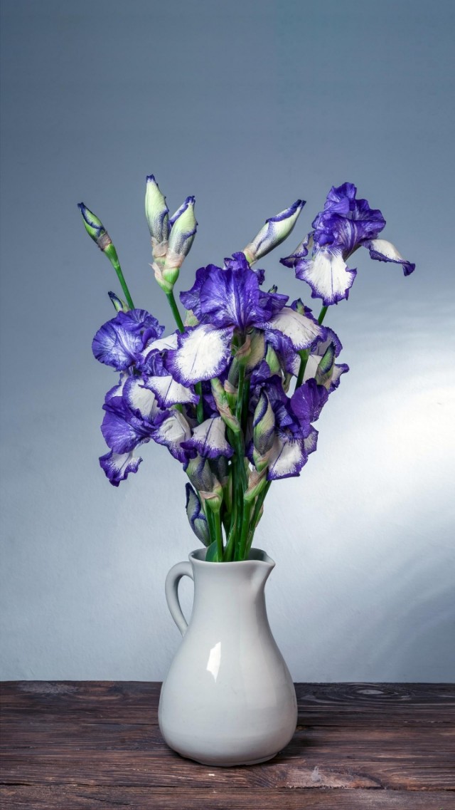 ”得个桔””混吉”这两个广府俗语经常讲但未必都知道它的来历