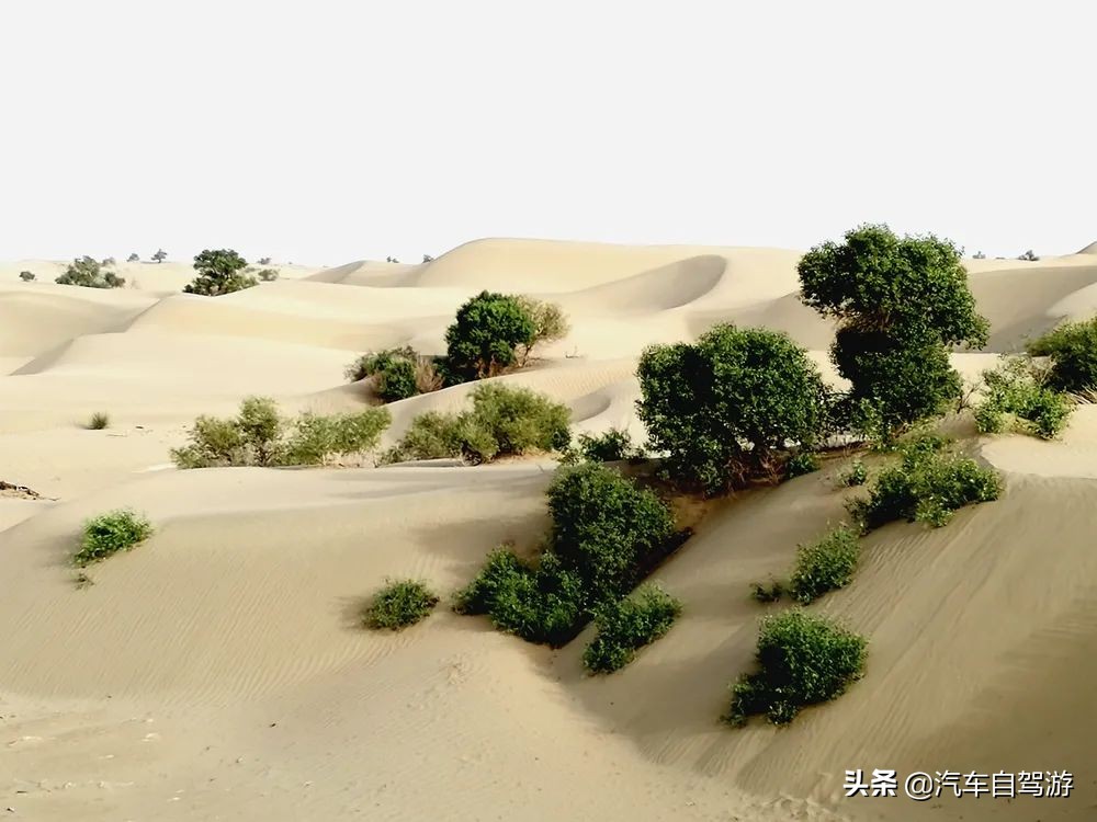 7月份独库公路自驾游视频完整版,7天自驾独库公路