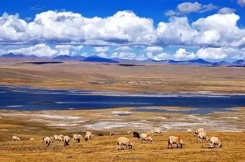 下半年旅行最佳时间表,2023最佳旅游时间表