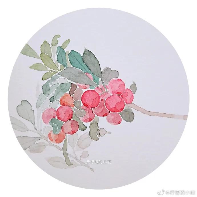 分享一组好看的小清新水彩插画,不来看看简单水彩小插画的教程吗