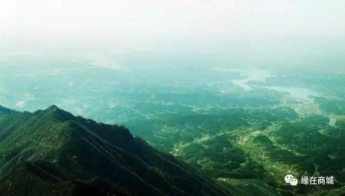 「品读」我的前男网友——以后真的不单独见面吗?/江河之王