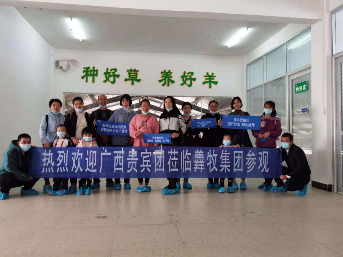 广西优贝优全团队走进欧铂佳牧场，探索国产好奶源