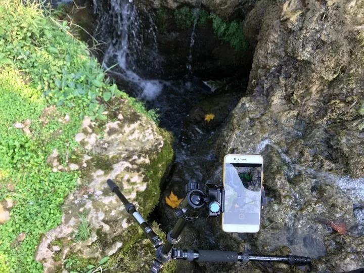 秋色正艳|掌握这6个小技巧，教你拍出绝美秋景