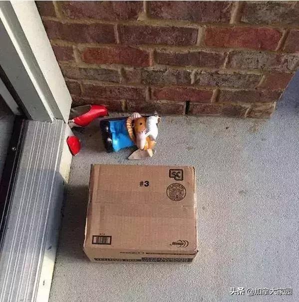 从中国寄包裹到加拿大,寄往加拿大的包裹收不到如何查询