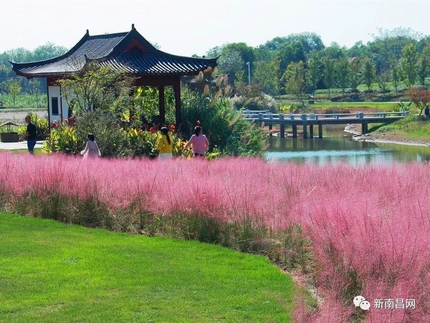 南昌春游最值得去的景点有哪些,南昌五一最美景点