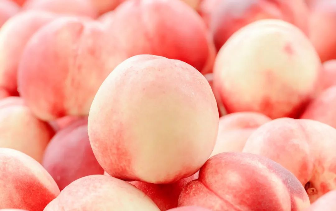 连同事都抢着试的高颜值口喷，用完嘴巴好清新，哈气都是香的