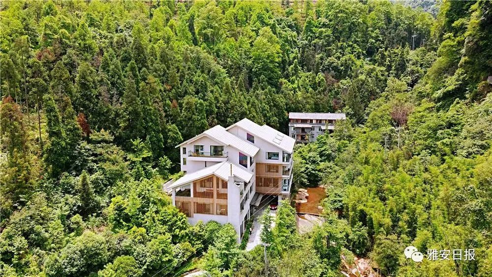 来雅安旅游,雅安二郎山休闲特色民宿