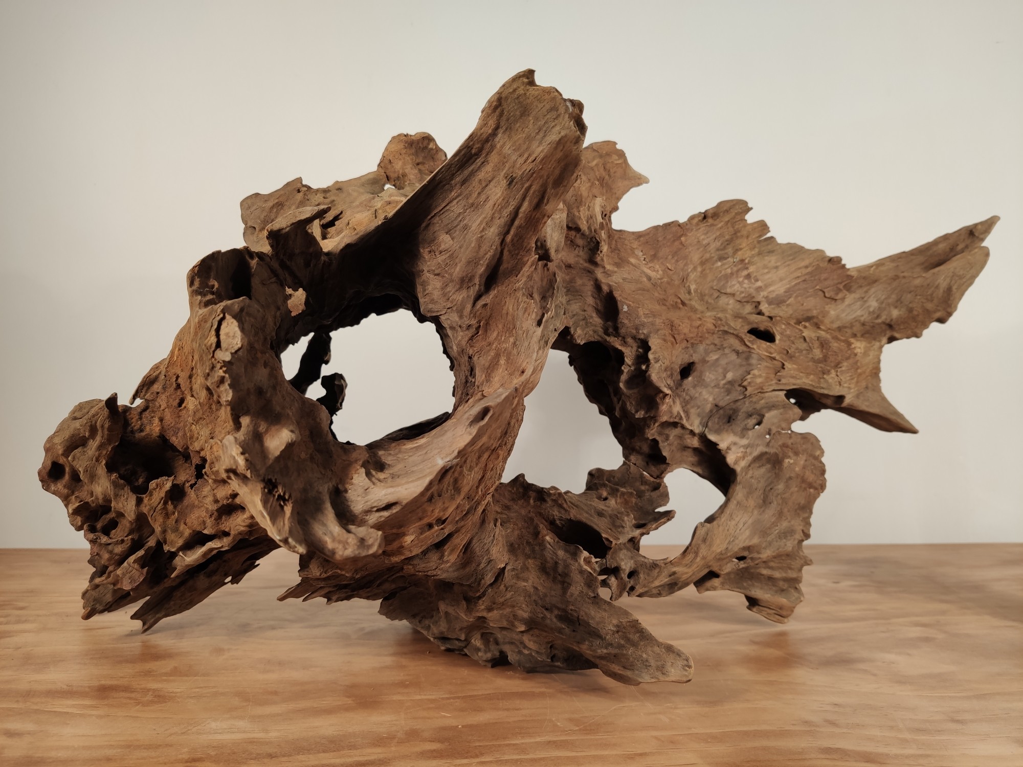 鱼缸的水变绿对鱼有影响吗,鱼缸的水为什么变黄