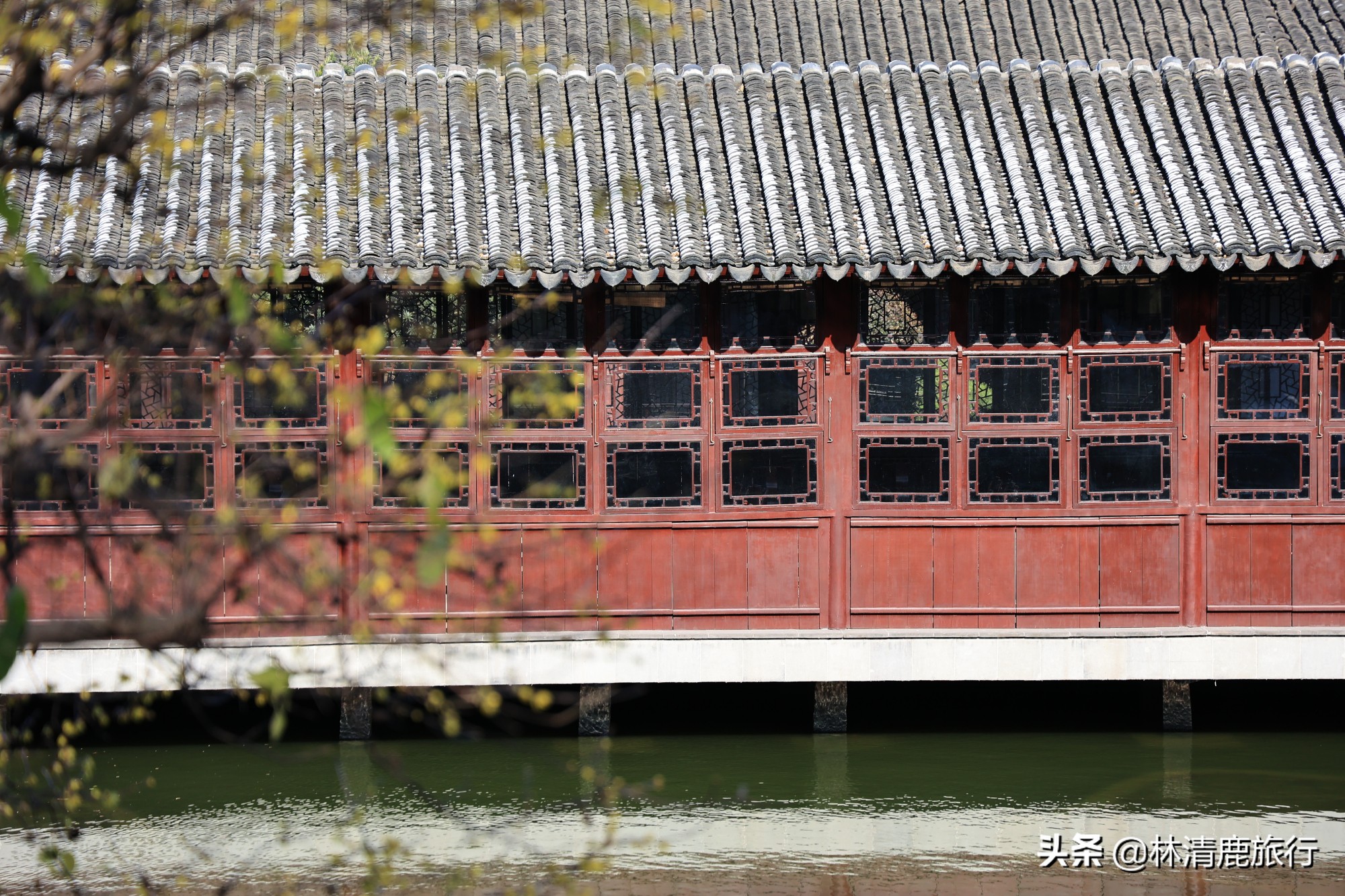 苏州园林喝茶的地方,苏州西山观雨喝茶好去处