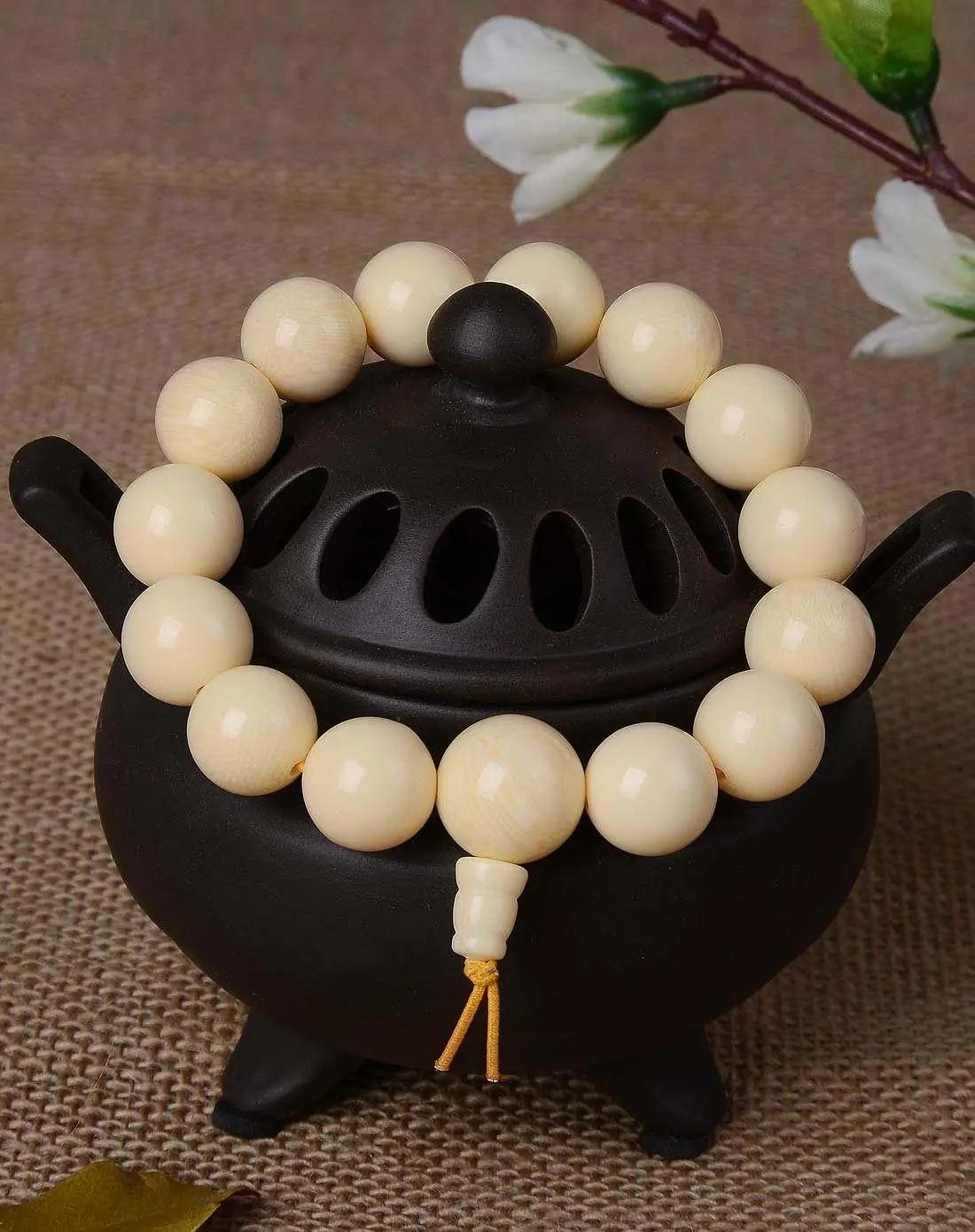 植物象牙图片大全大图,植物象牙红