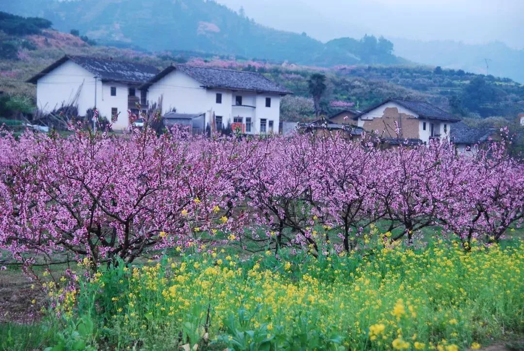 逐梦韶关:粤北这方山水,如此多情!怎可不来?