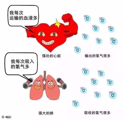 精力充沛的人往往更容易成功,如何成为一个精力充沛的人