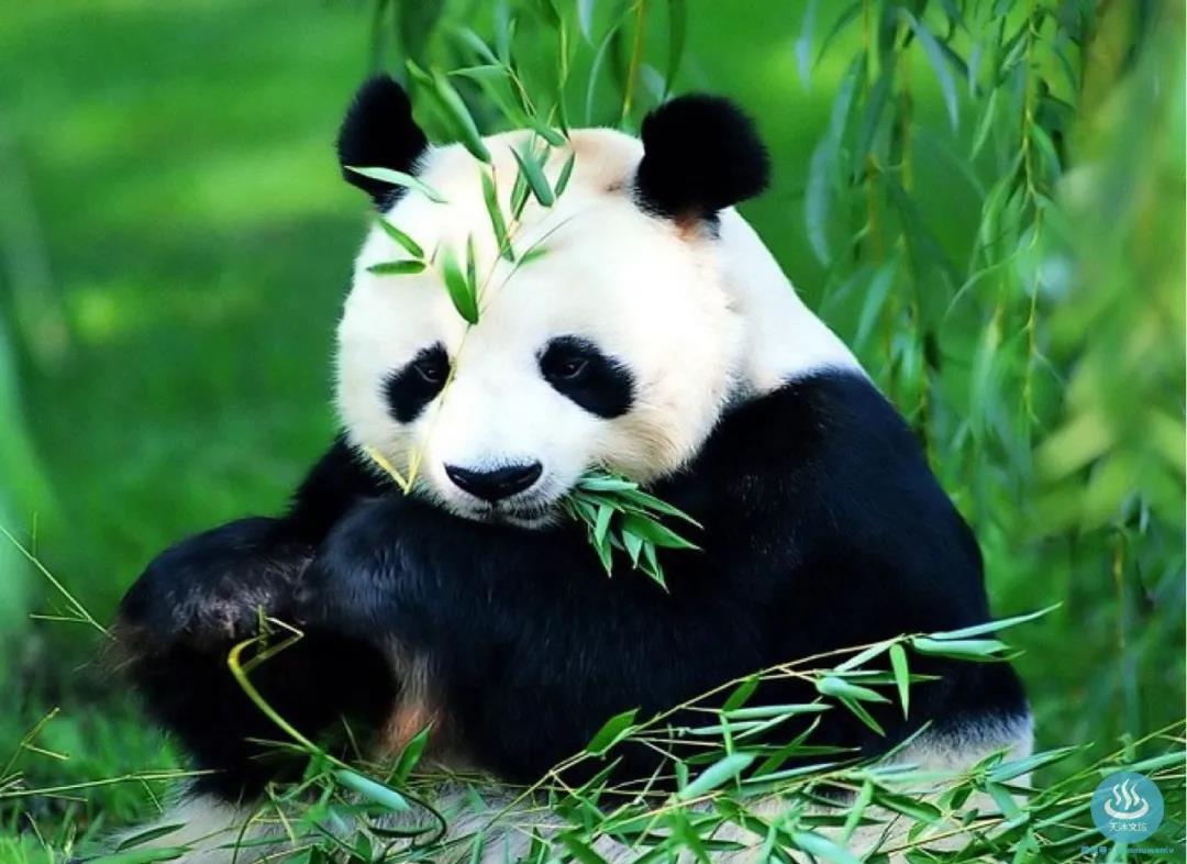 天津光合谷温泉,品牌故事天津