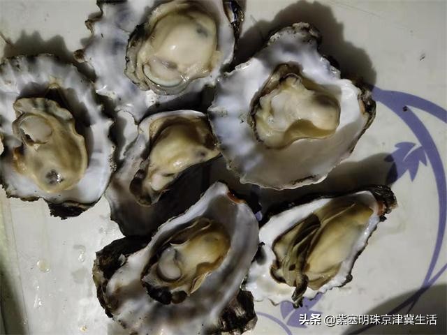 乐亭韩姐农家院价格,韩姐在乐亭农家最新视频