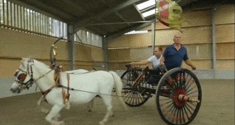 什么是尚武,尚武是什么民族