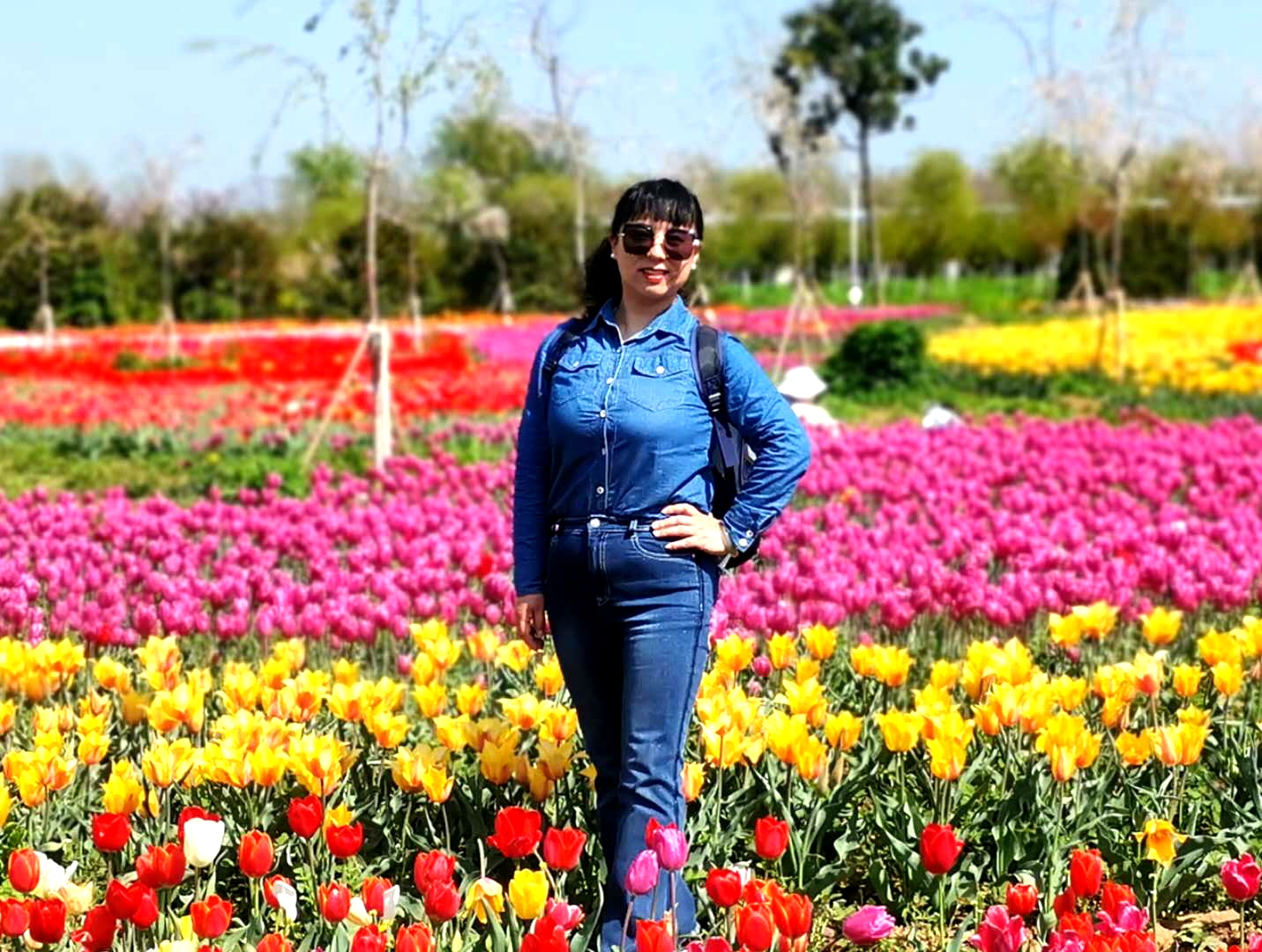 许昌建设路小学教师名单,许昌市建设路小学教师